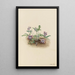 Violet of the South Coast Viola septemloba - Mary Vaux Walcott — framed artwork on a wall