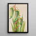 Baïonnette espagnole Yucca baccata - Mary Vaux Walcott — framed artwork on a wall