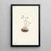 Saxifrage tachetée Saxifraga bronchialis - Mary Vaux Walcott — framed artwork on a wall