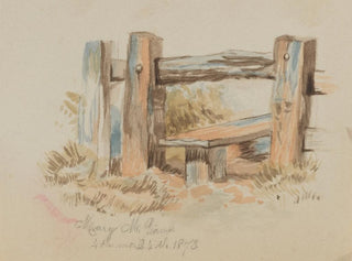 Style - Mary Vaux Walcott — artwork view