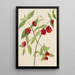 American Charcoal Drawing - Mary Vaux Walcott — framed artwork on a wall