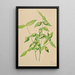 American Euonymus americanus charcoal drawing - Mary Vaux Walcott — framed artwork on a wall