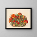 Study of Mushrooms - Mary Vaux Walcott — framed artwork on a wall