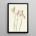Linaigrette à feuilles étroites Eriophorum angustifolium - Mary Vaux Walcott — framed artwork on a wall