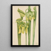 Sarracénie jaune Sarracenia flava - Mary Vaux Walcott — framed artwork on a wall