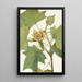 Tulipier de Virginie Liriodendron tulipifera - Mary Vaux Walcott — framed artwork on a wall