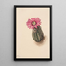 Cactus tête de dinde Echinocerus perbellus - Mary Vaux Walcott — framed artwork on a wall