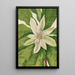 Magnolia with large leaves Magnolia tripetala - Mary Vaux Walcott — framed artwork on a wall