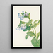 Mertensia virginica - Mary Vaux Walcott — framed artwork on a wall