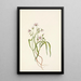 Virginian Claytonia Painting - Mary Vaux Walcott — framed artwork on a wall