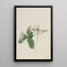 White Trillium Painting - Mary Vaux Walcott — framed artwork on a wall