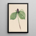 Trille sessile - Mary Vaux Walcott — framed artwork on a wall