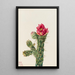 Cholla bâton de marche - Mary Vaux Walcott — framed artwork on a wall