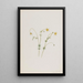 Water Buttercup Painting - Mary Vaux Walcott — framed artwork on a wall