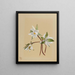 Nénuphars Castalia parfumés - Mary Vaux Walcott — framed artwork on a wall