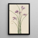 Jacinthe sauvage Brodiaea pulchella - Mary Vaux Walcott — framed artwork on a wall