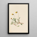 Dryade jaune Dryas drummondii - Mary Vaux Walcott — framed artwork on a wall