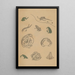 Choju ryakugashiki Pl37 - Masayoshi Kitao — framed artwork on a wall