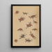 Choju ryakugashiki Pl38 - Masayoshi Kitao — framed artwork on a wall