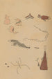 Choju ryakugashiki Pl40 - Masayoshi Kitao — artwork view