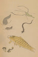 Choju ryakugashiki Pl41 - Masayoshi Kitao — artwork view