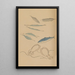 Choju ryakugashiki Pl46 - Masayoshi Kitao — framed artwork on a wall