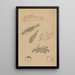 Choju ryakugashiki Pl48 - Masayoshi Kitao — framed artwork on a wall