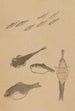 Choju ryakugashiki Pl49 - Masayoshi Kitao — artwork view