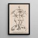 A perspective of seven balanced stars on three crosses - Mathis Zündt — framed artwork on a wall
