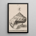 A perspective of a faceted snail shell balanced on a pyramid - Mathis Zündt — framed artwork on a wall