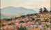 View of Peljeac with flowering heather - Mato Celestin Medović — artwork view