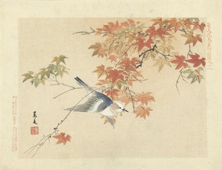 Étourneau à joues châtaigne - Matsumura Keibun — artwork view