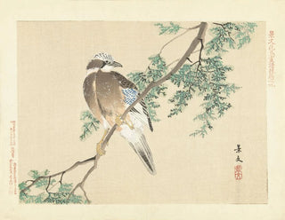 Eurasian Jay - Matsumura Keibun — artwork view