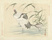 Crane with Red Crown - Matsumura Keibun — artwork view