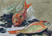 Dorades et moules - Maurice Denis — artwork view