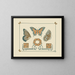 Abstract design based on butterflies and leaves - Maurice Pillard Verneuil — framed artwork on a wall