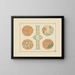 Abstract design based on leaf shapes - Maurice Pillard Verneuil — framed artwork on a wall