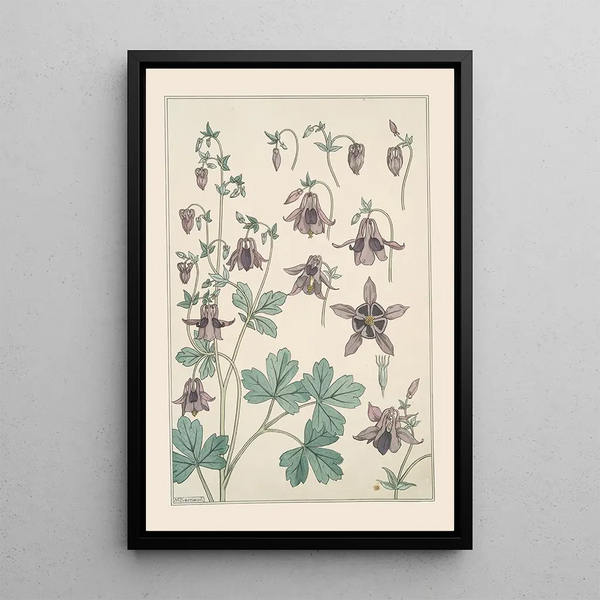 Ancolie - Maurice Pillard Verneuil — framed artwork on a wall