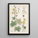Button of Gold - Maurice Pillard Verneuil — framed artwork on a wall