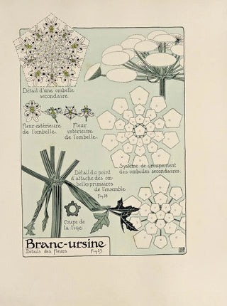 Maurice Pillard Verneuil - Brancursine.webp