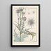 Chardon - Maurice Pillard Verneuil — framed artwork on a wall