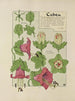 Cobée - Maurice Pillard Verneuil — artwork view