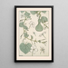 Pumpkin - Maurice Pillard Verneuil — framed artwork on a wall