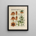 Imperial Crown Painting - Maurice Pillard Verneuil — framed artwork on a wall