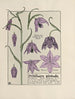 Fritillary Guineafowl - Maurice Pillard Verneuil — artwork view
