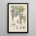 Glycine Painting - Maurice Pillard Verneuil — framed artwork on a wall