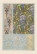Glycine 2 - Maurice Pillard Verneuil — artwork view