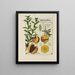 Grenadier - Maurice Pillard Verneuil — framed artwork on a wall