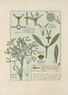 Gui - Maurice Pillard Verneuil — artwork view