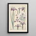 Iris Painting - Maurice Pillard Verneuil — framed artwork on a wall